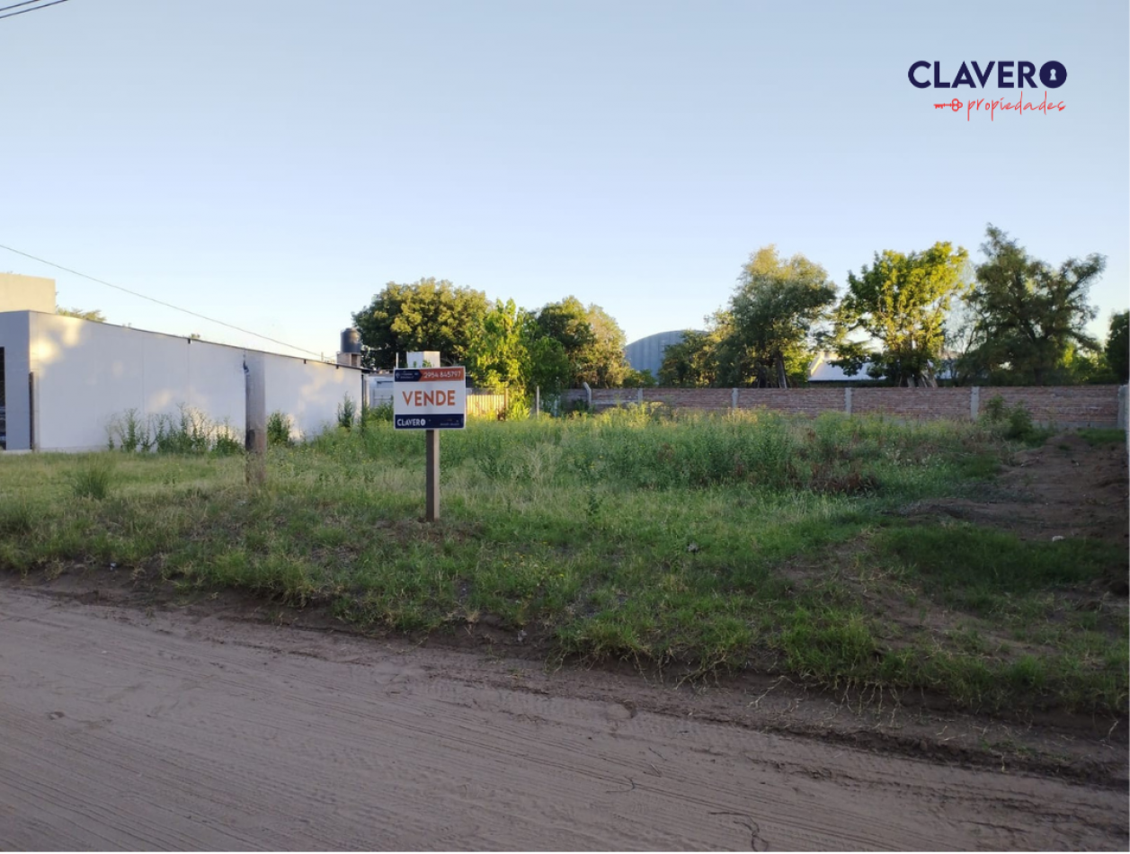 Terreno - Santa Rosa  Calle Rio Colorado. A 100 mts. de la ruta 35