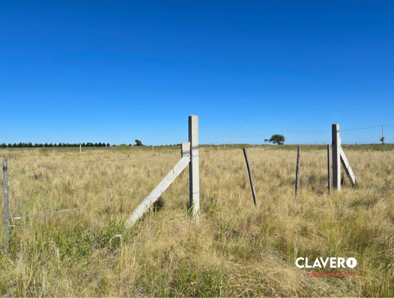  Chacras Lemu Cuyen - Ataliva Roca