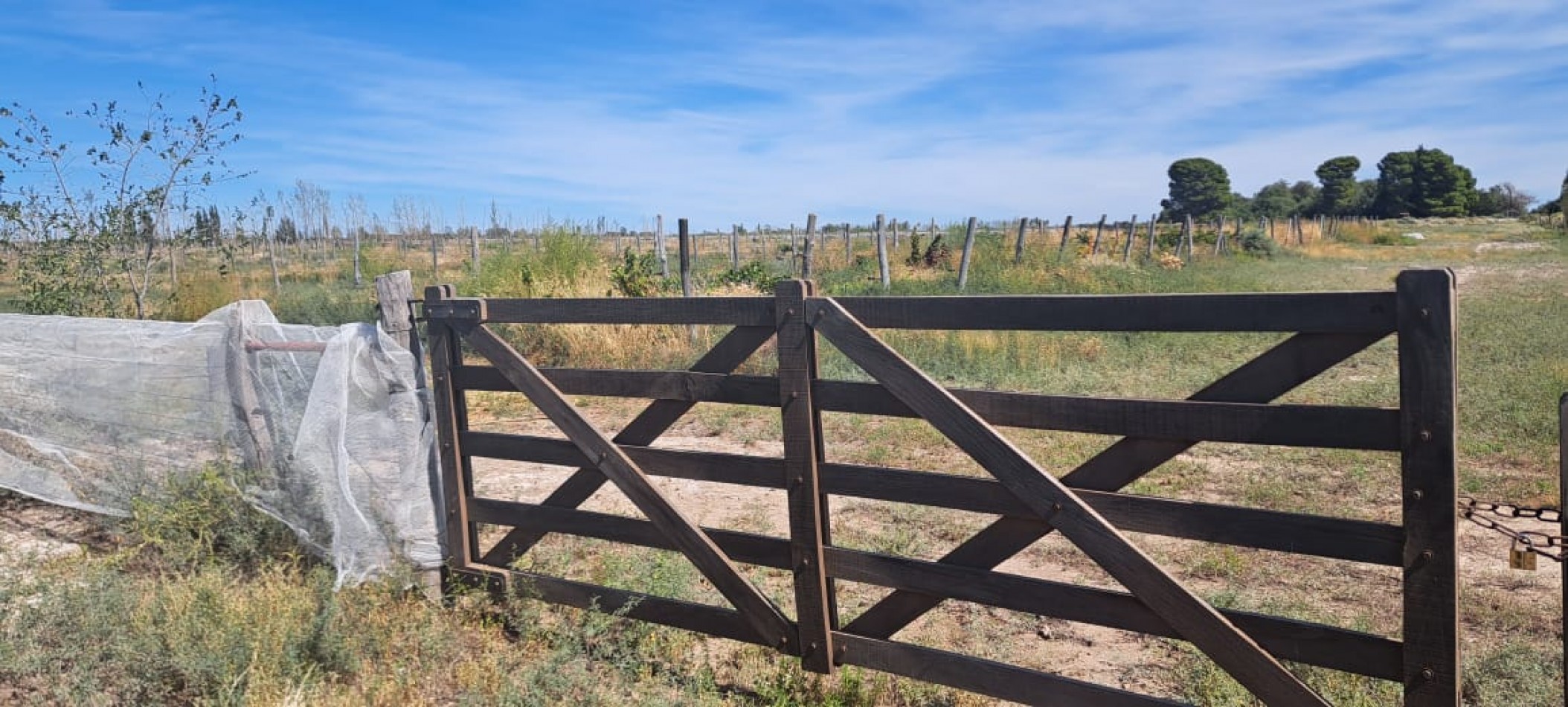 EN VENTA PARCELA EN GOB. DUVAL A ORILLAS DEL RIO COLORADO-PARCELA 6-CHACRA 1