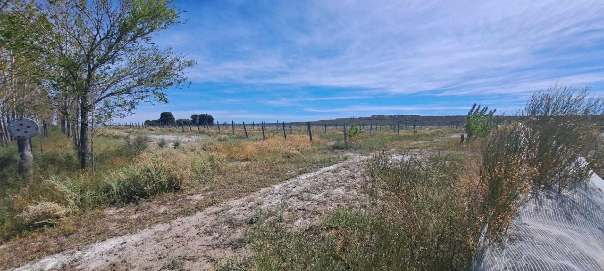 EN VENTA PARCELA EN GOB. DUVAL A ORILLAS DEL RIO COLORADO-PARCELA 6-CHACRA 1