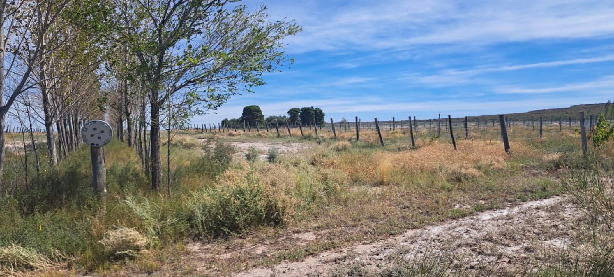 EN VENTA PARCELA EN GOB. DUVAL A ORILLAS DEL RIO COLORADO-PARCELA 6-CHACRA 1