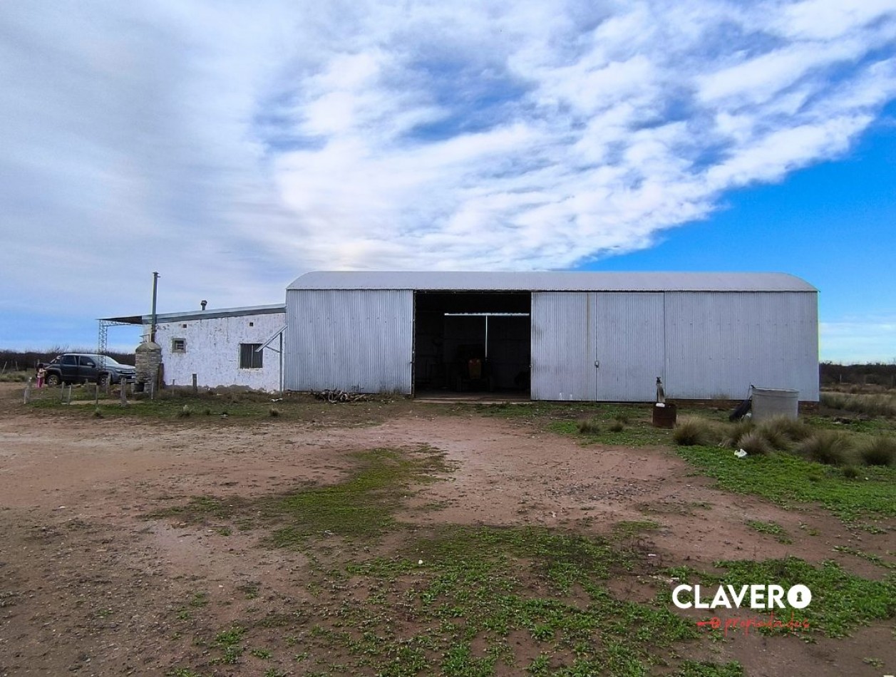 SE VENDE Campo Ganadero de 4.986 ha - Limay Mahuida