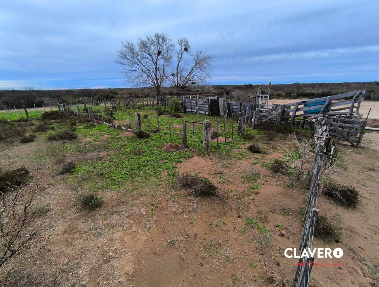 SE VENDE Campo Ganadero de 4.986 ha - Limay Mahuida
