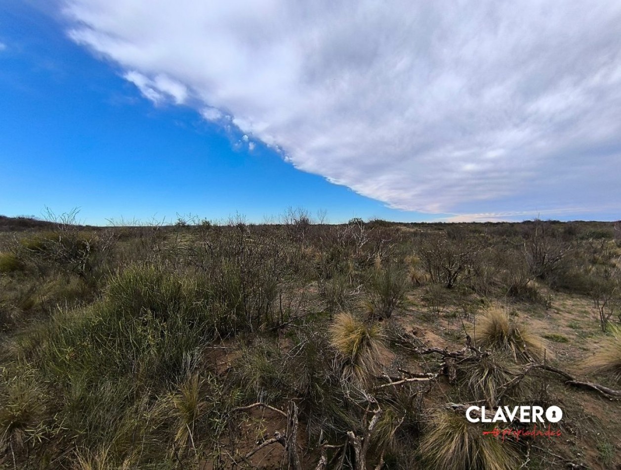 SE VENDE Campo Ganadero de 4.986 ha - Limay Mahuida