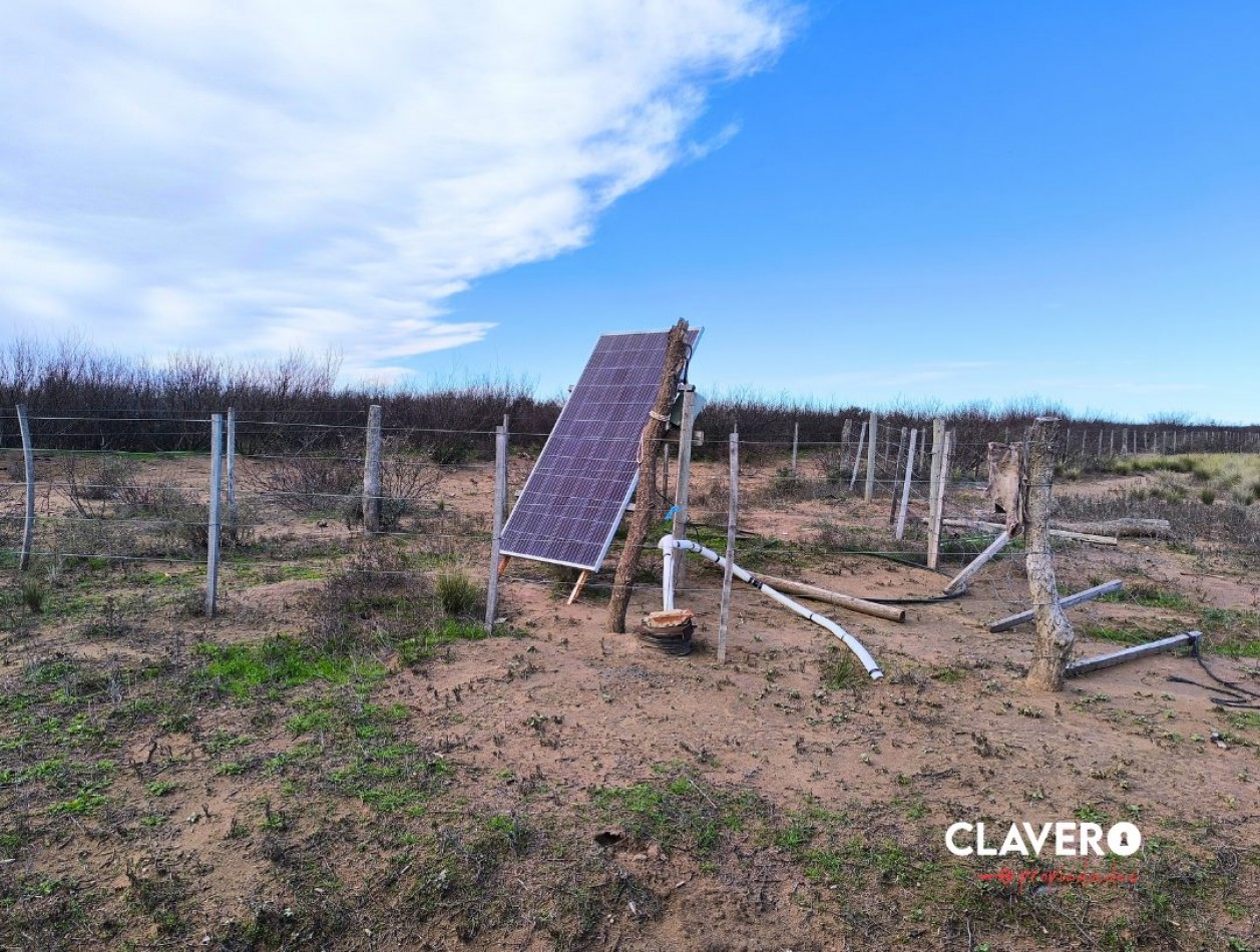 SE VENDE Campo Ganadero de 4.986 ha - Limay Mahuida