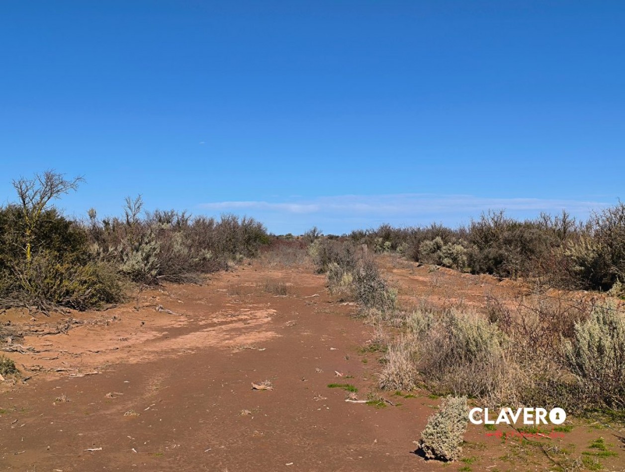 SE VENDE Campo Ganadero de 4.986 ha - Limay Mahuida