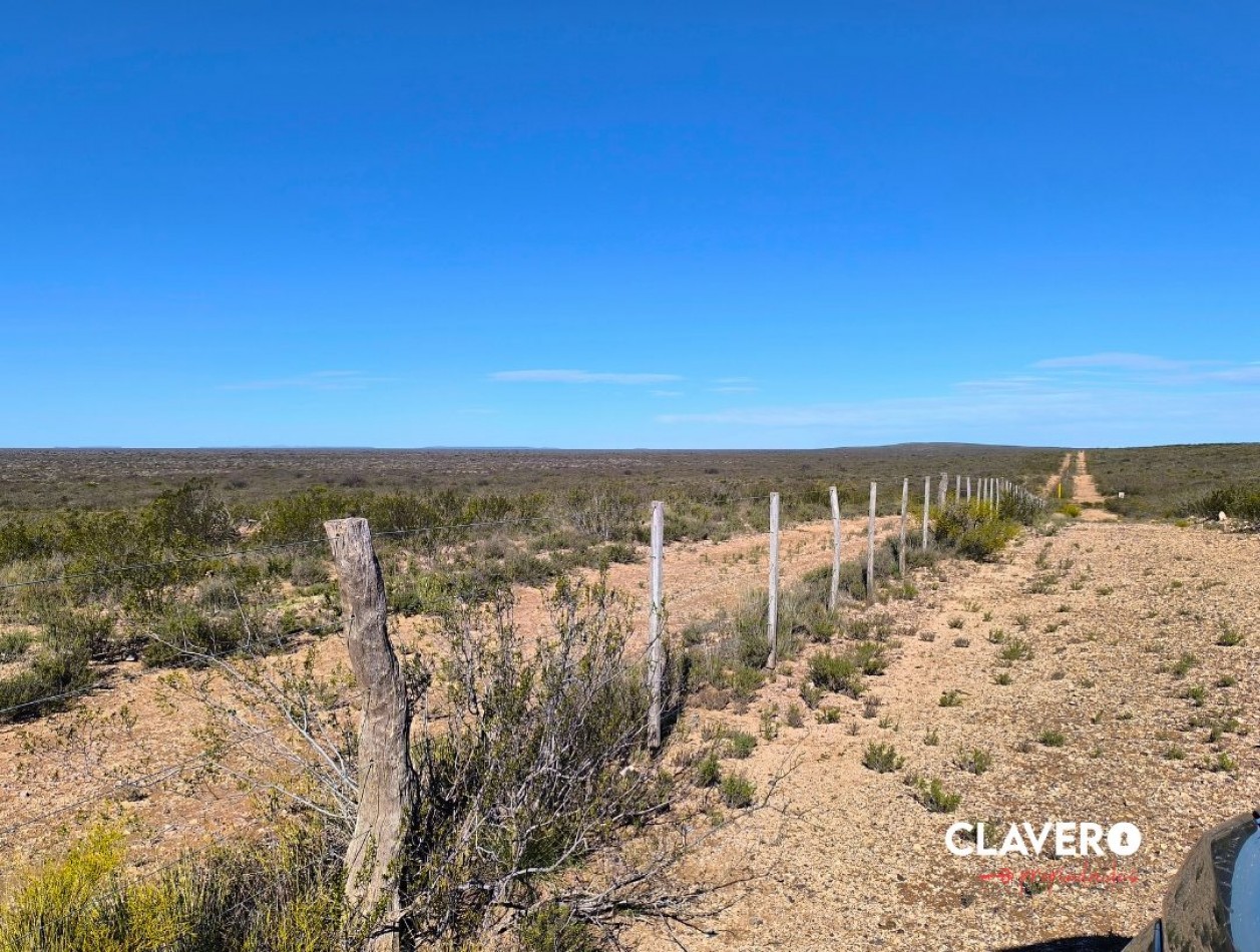 SE VENDE Campo Ganadero de 4.986 ha - Limay Mahuida