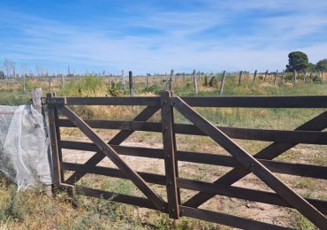 EN VENTA PARCELA EN GOB. DUVAL A ORILLAS DEL RIO COLORADO-PARCELA 6-CHACRA 1