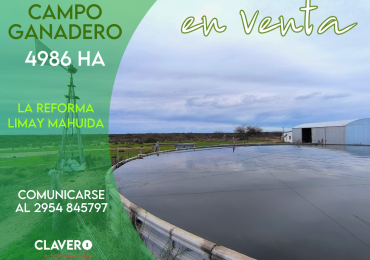 SE VENDE Campo Ganadero de 4.986 ha - Limay Mahuida